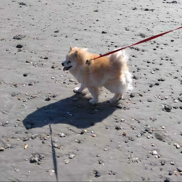 Meet your Posher, Melanie - Picture 1 of 1